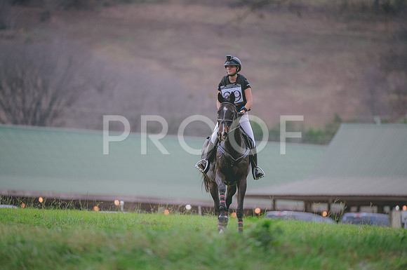 JJS_0484A
