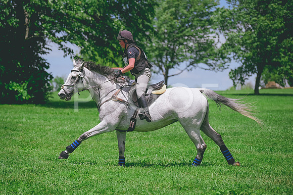 CRR_1331