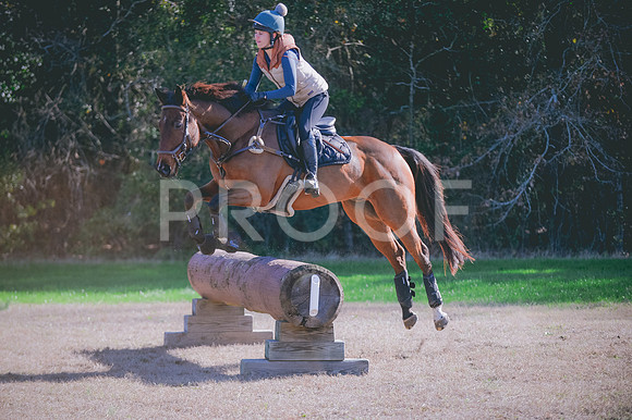 JJS_0393