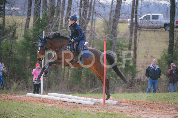 JJS_1293