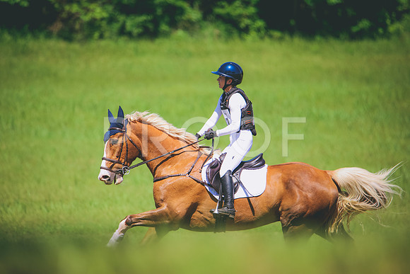 RWP_6465