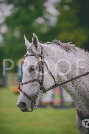 JJS_2912