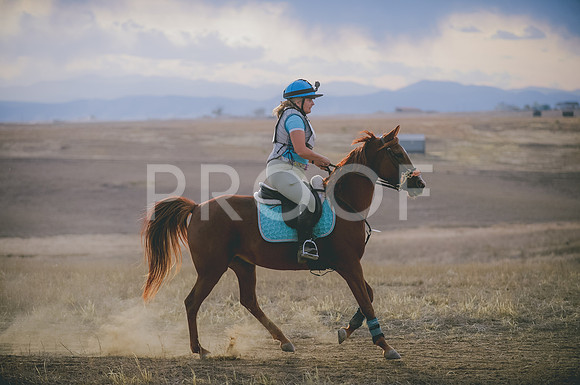 JJS_6240