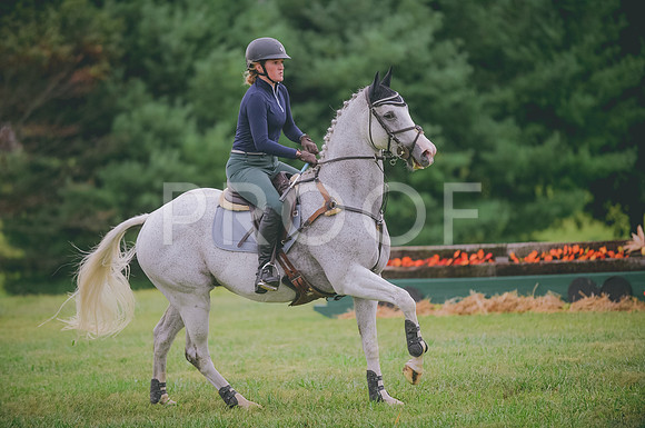 JJS_4188