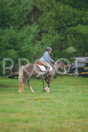 3T5A9352