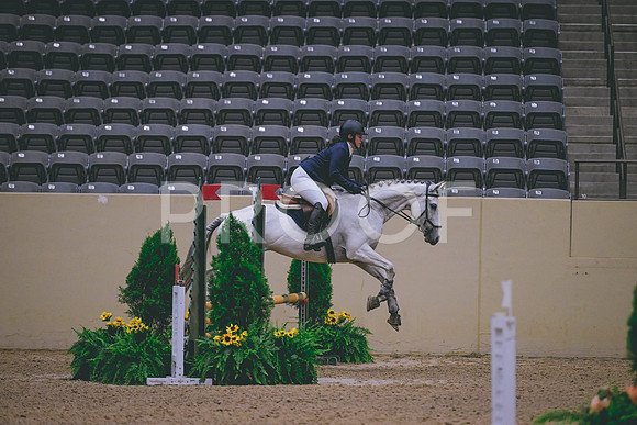 TLS_8379