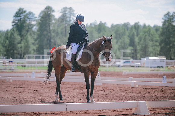 JJS_1699