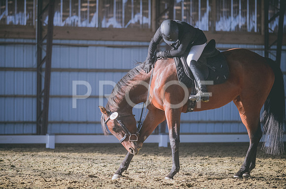 JJS_2029