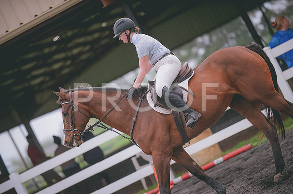 JJS_0254