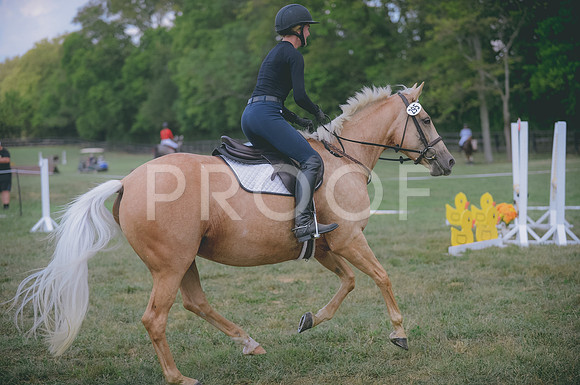 JJS_7747