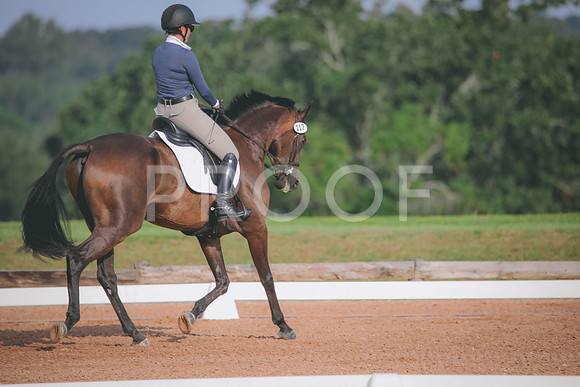 RWP_4384