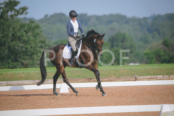 RWP_4399