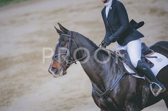 JJS_0565