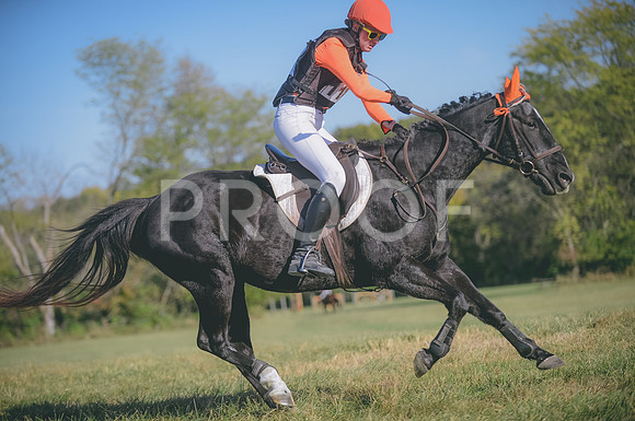 JJS_0367