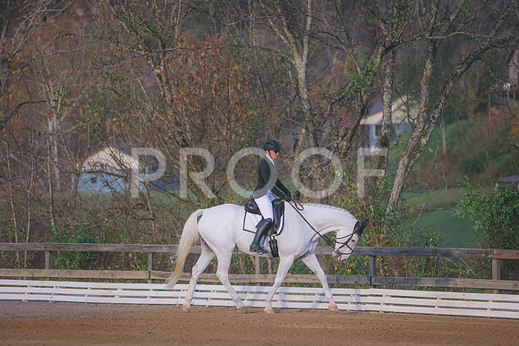 3T5A4107