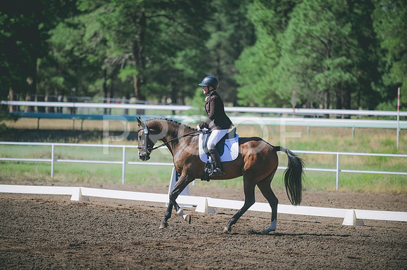 JJS_2942