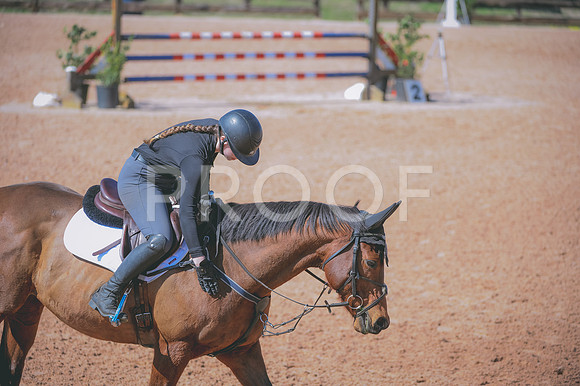 JJS_3646