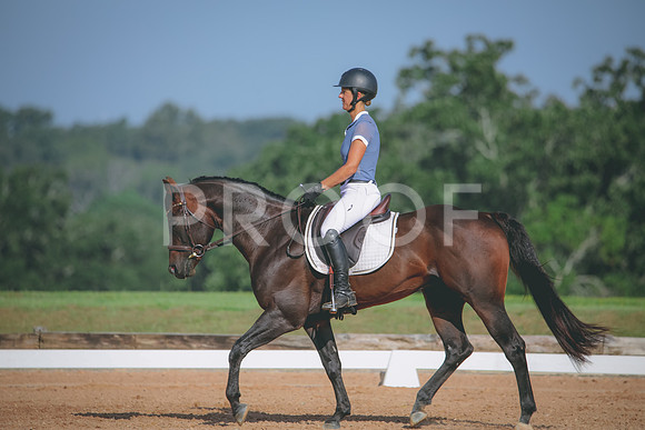 RWP_4590