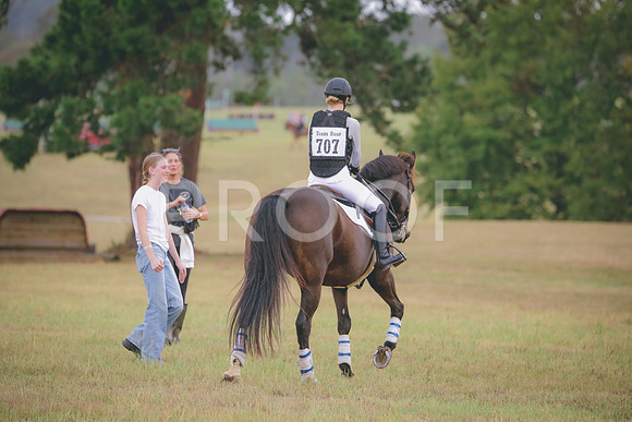 RWP_3787