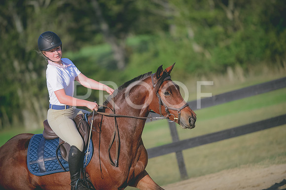 JJS_0325A