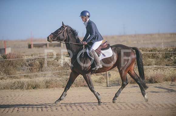 JJS_7661