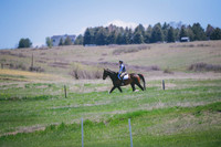 _DSC0279