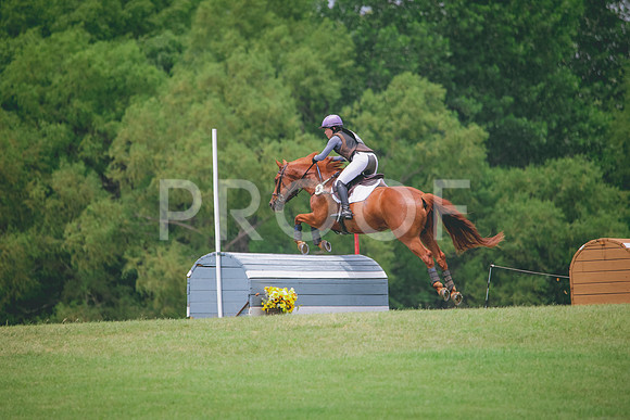 RWP_2667