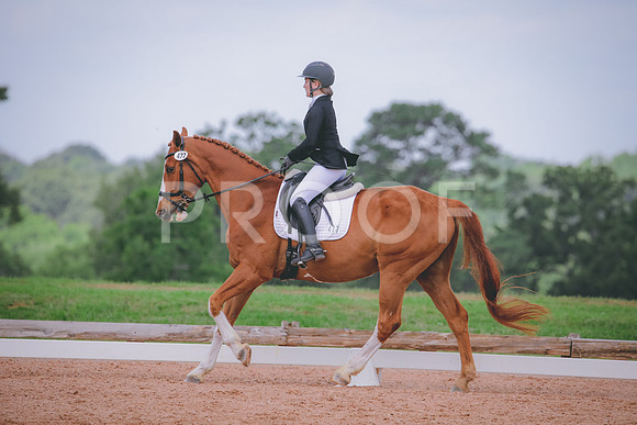RWP_4479