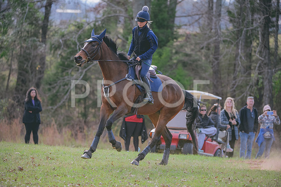 JJS_1299