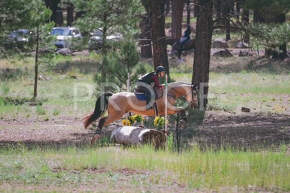 DSC_1645