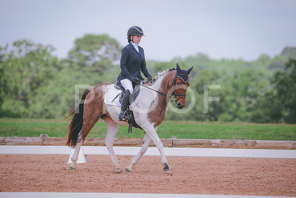RWP_4395
