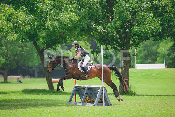 RWP_2658