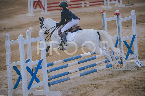 JJS_2816