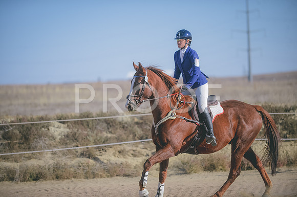 JJS_0317