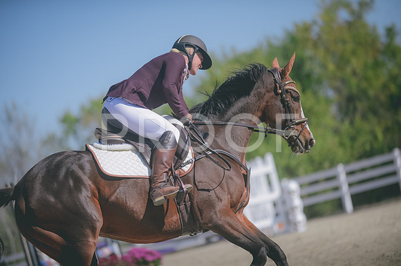 JJS_0695