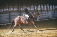 JJS_3006