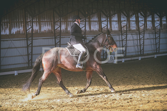 JJS_3006