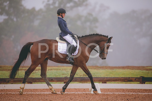 RWP_1132