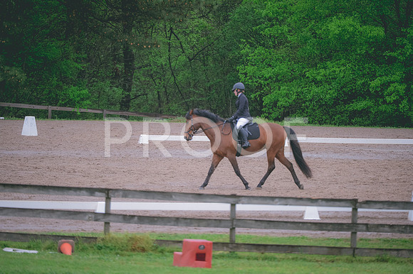 JJS_2019