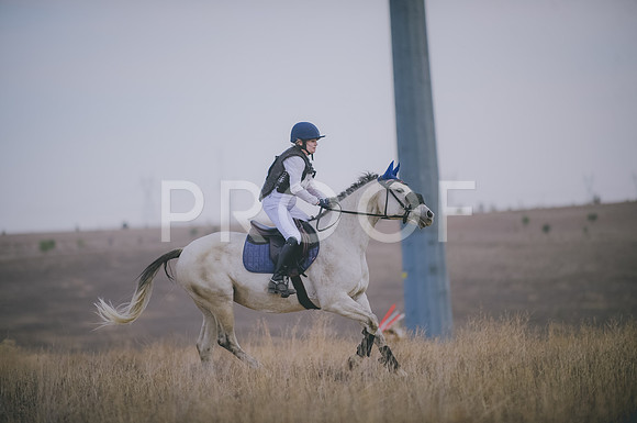 JJS_4445