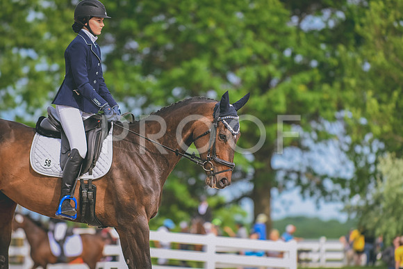 DSC_0010 copy