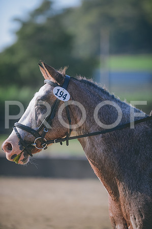 JJS_7987A