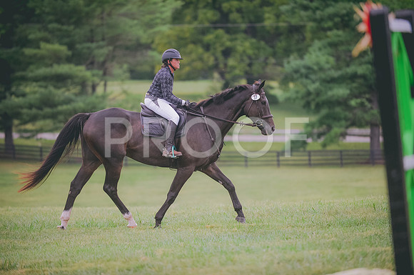 JJS_3904