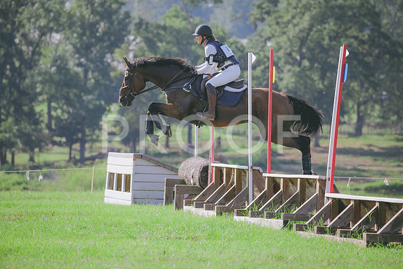RWP_6187