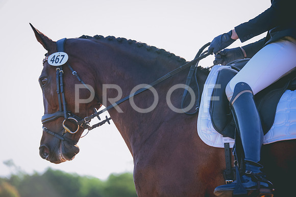 RWP_9081