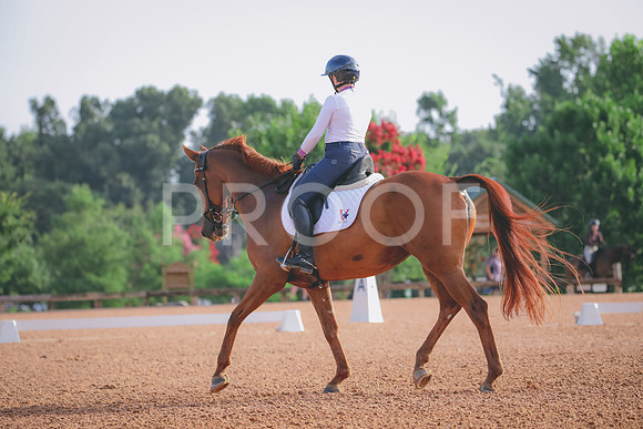 RWP_4308