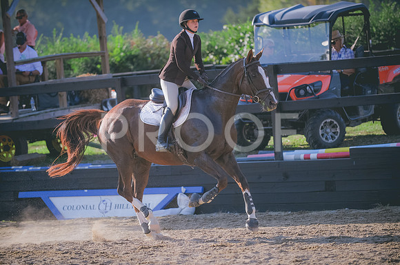 JJS_8642A