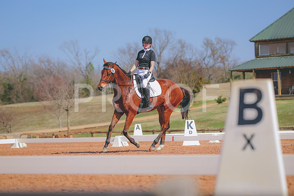 TKP_7561