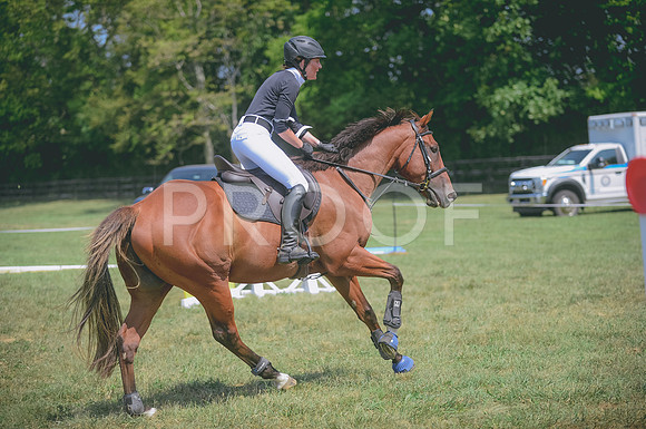 JJS_2651