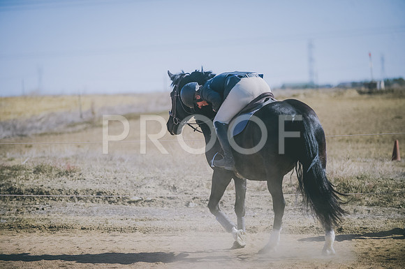 JJS_6313